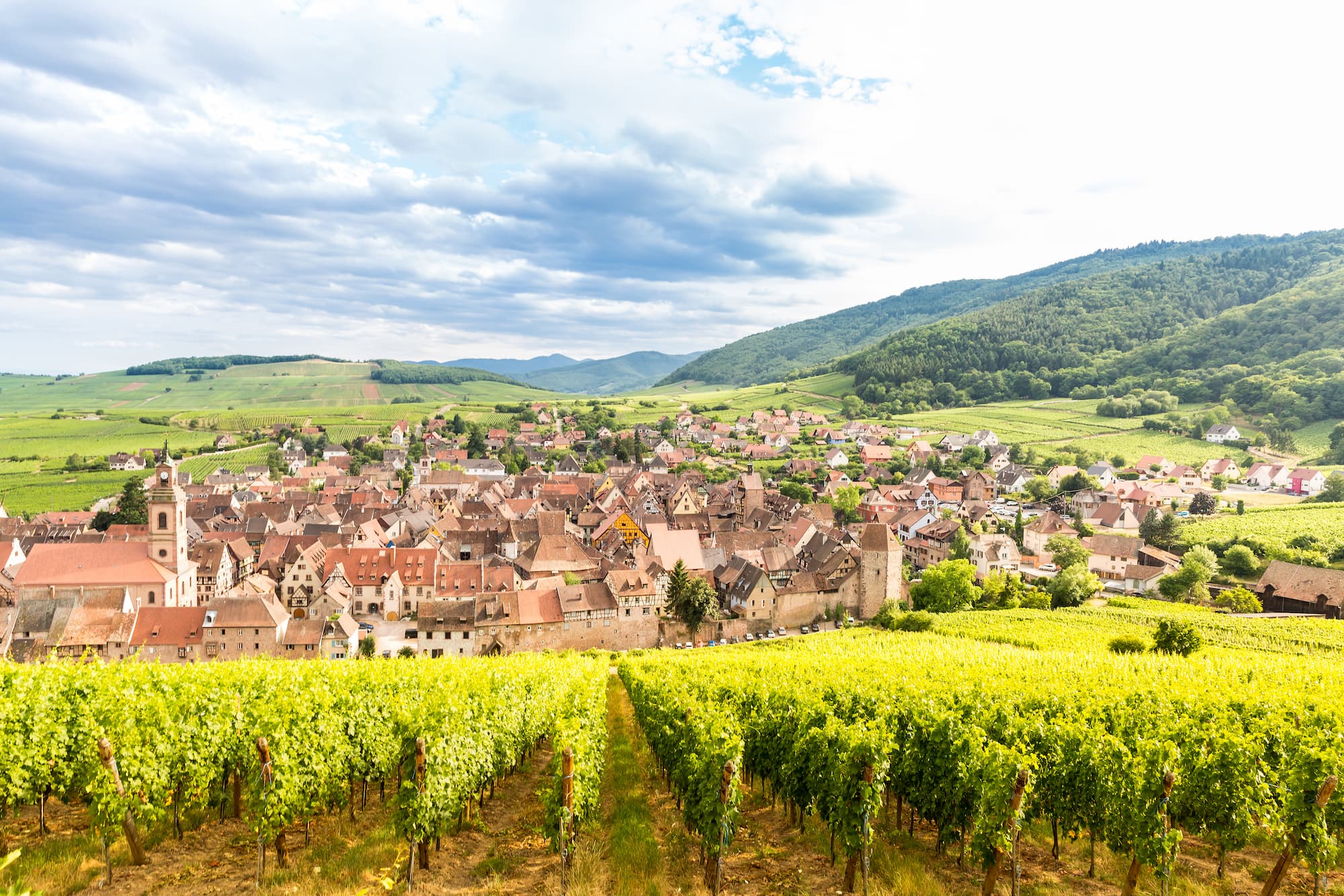 TOURISME_RIQUEWIHR | O'berge du parc Activités et tourisme près de Ribeauvillé et Riquewihr Horbourg-Wihr 3