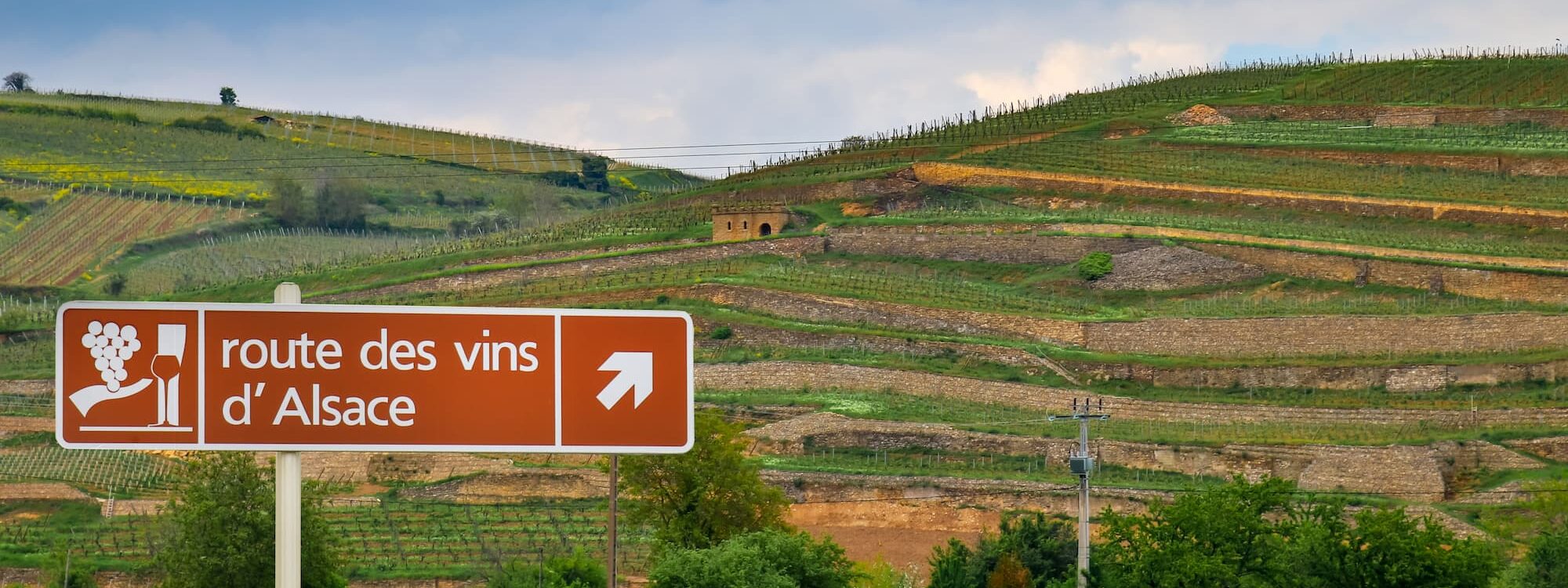 VINS_ALSACIENS 2000X750 | O'berge du parc Quels sont les vins alsaciens ? Colmar