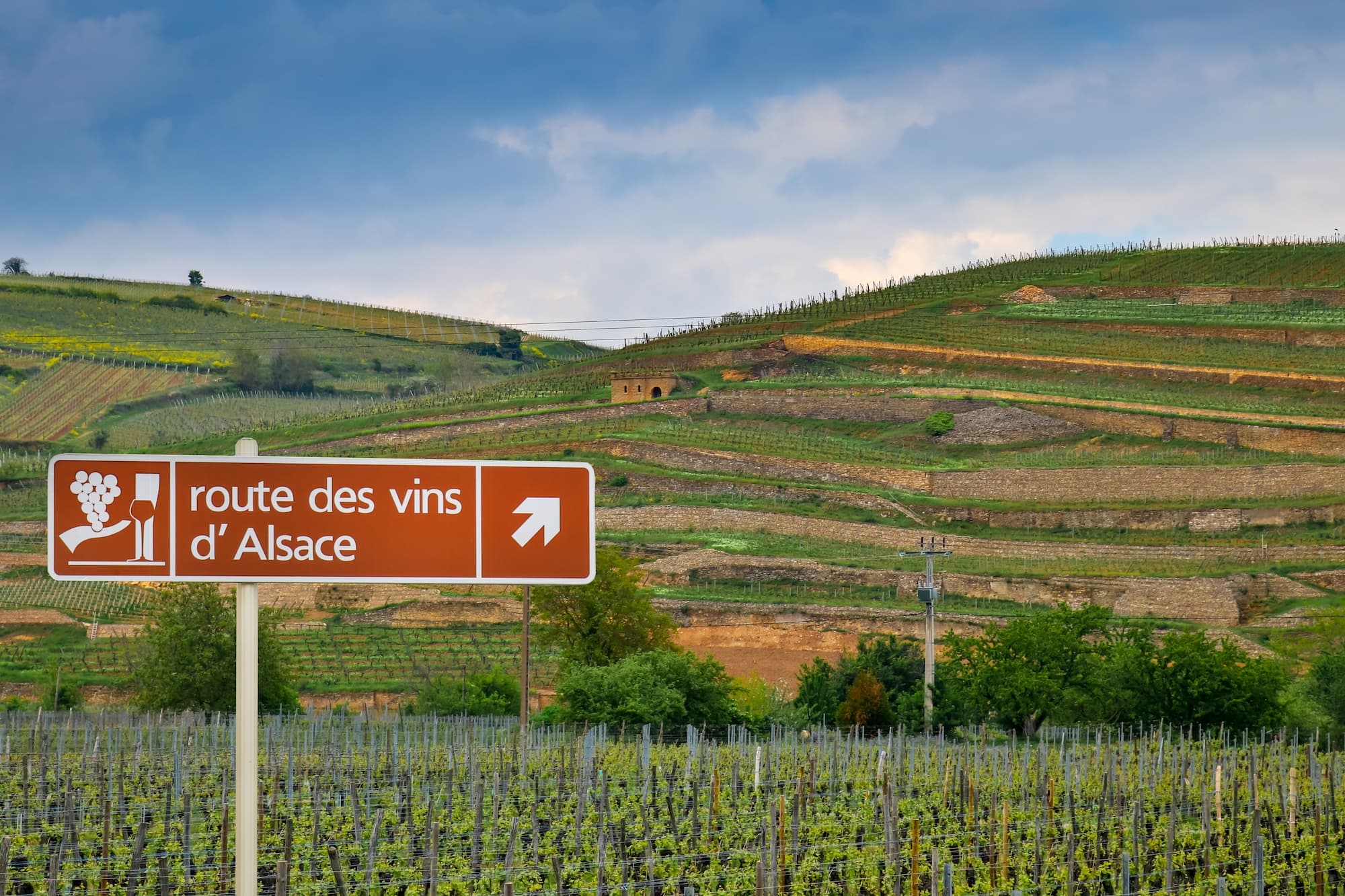 VINS_ALSACIENS | O'berge du parc Quels sont les vins alsaciens ? Colmar 0